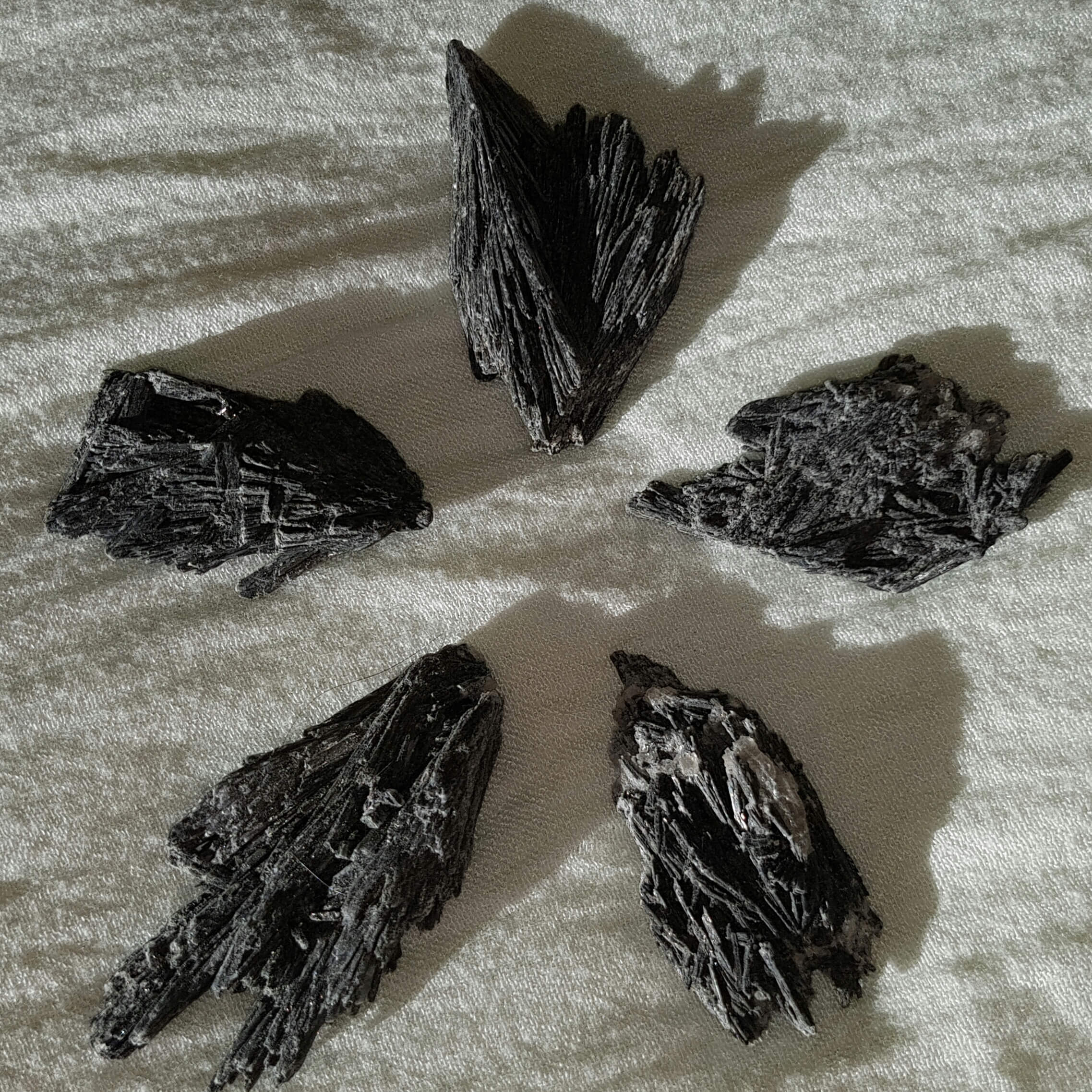 46-schwarze-kyanit-rohkristall-naturkristall-kristall-mineral-venusblume-vitalzentrum-melinda-hebenstreit-nenzing